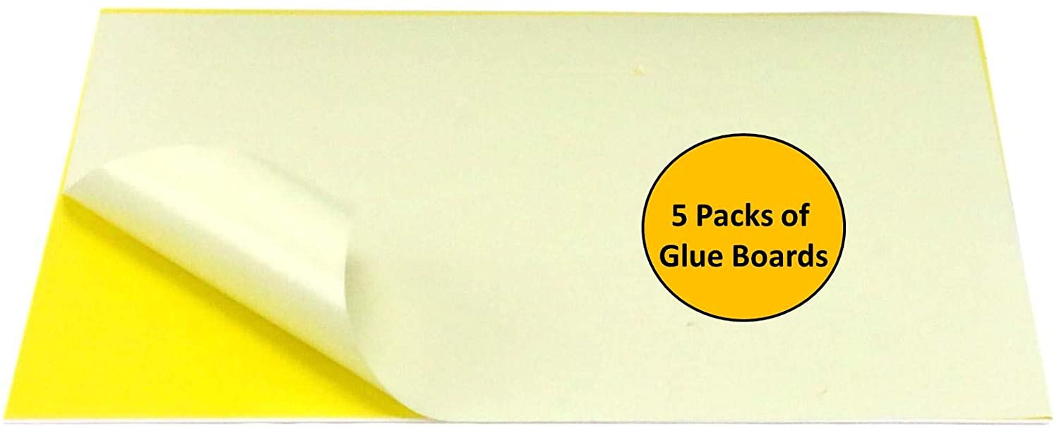 Awoco Pack of 5 Replacement Sticky Glue Boards for Metal Wall Mount Sticky Fly Trap Lamp (5 Glue Boards for FT-1M18)